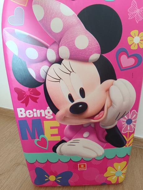 Plavecká doska minnie,