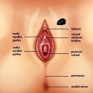 Skúsenosti so zdureninou na pokožke