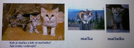 Výučbová hra, didaktická pomôcka,