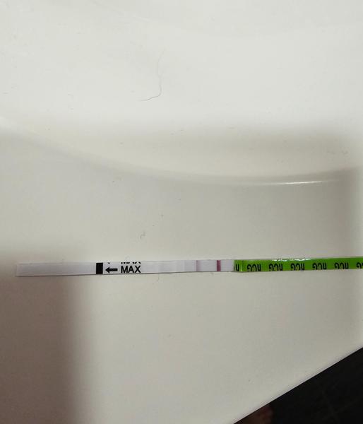 Test na 24. deň po ovulácií