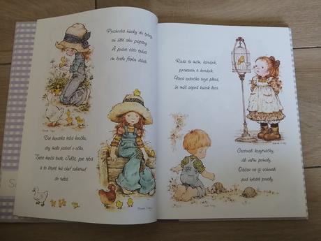 Veľká knižka malej mišky sarah kay,