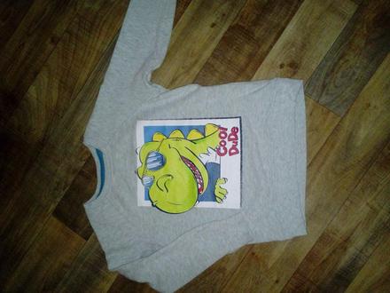 Mikina s dinom, pepco,116