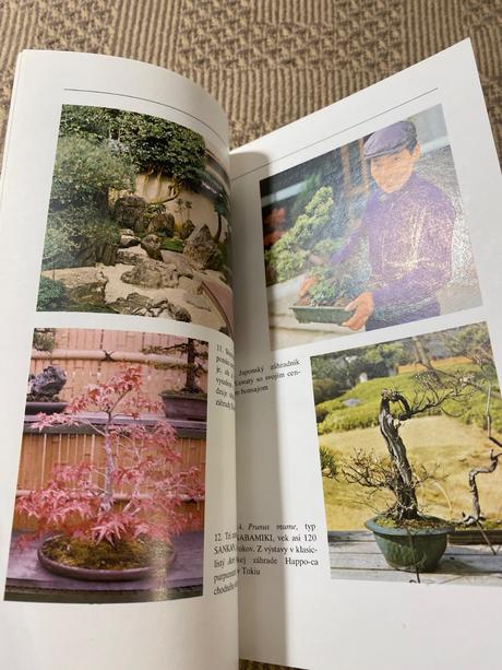 Miloslav ryšán  bonsaj, 