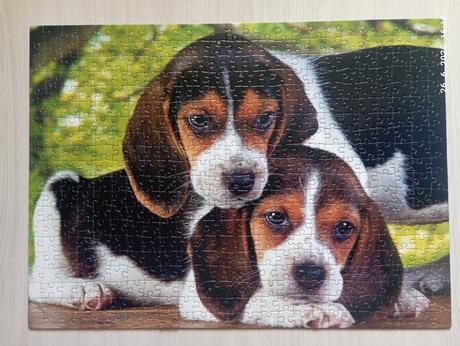 Puzzle šteniatka (už s poštou),