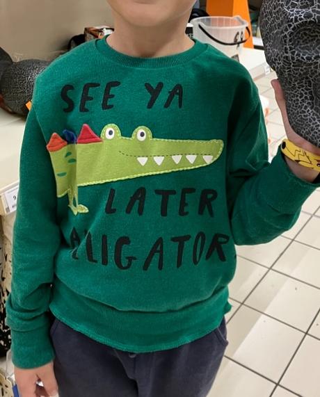 Mikina s krokodylom v.110/116, next,110