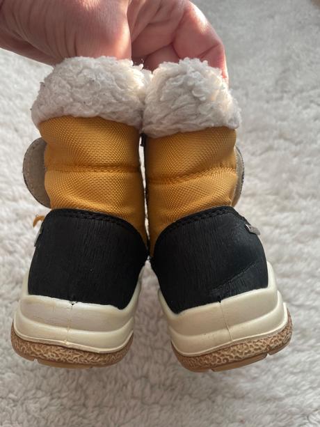 Horcicove snehule primigi, primigi,24