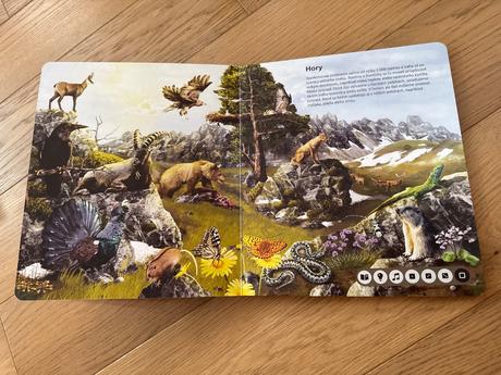 Kúzelné čítanie svet zvierat,