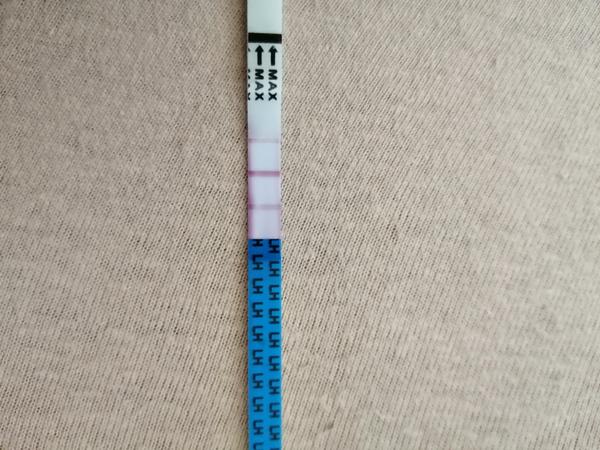 Je ovu test pozitívny?