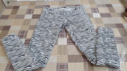 Nohavice, terranova,l