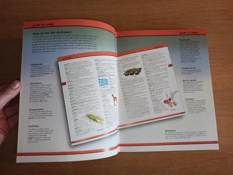 Children's illustrated dictionary,