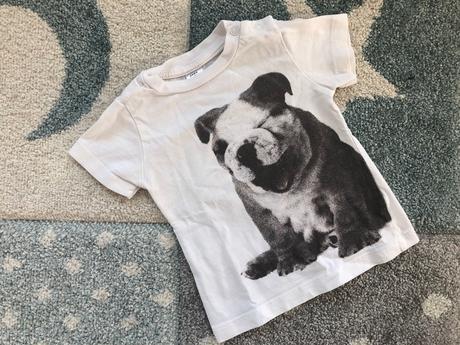 Tričko buldog, zara,68