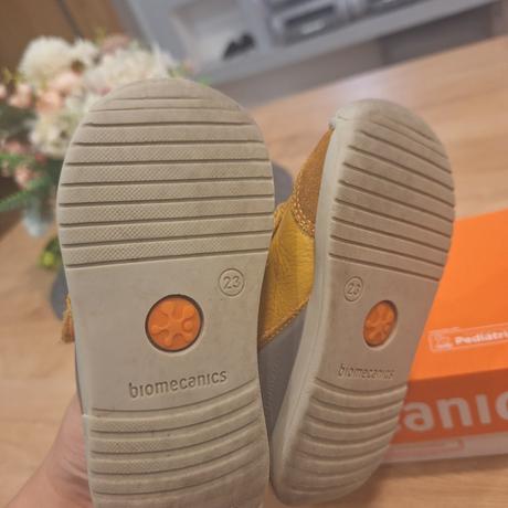 Topánku biomecanics, 23