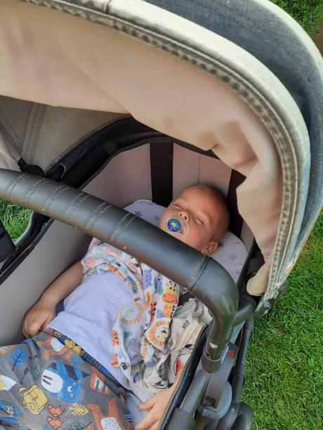 Bugaboo buffalo diesel, bugaboo,bugaboo buffalo