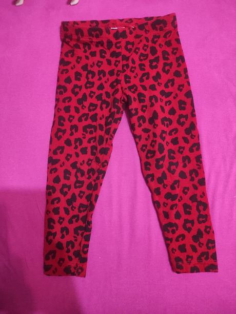 Legíny, palomino,98