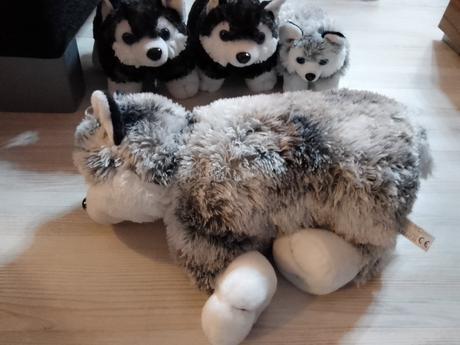 Plyšové vankúšiky psíky, 