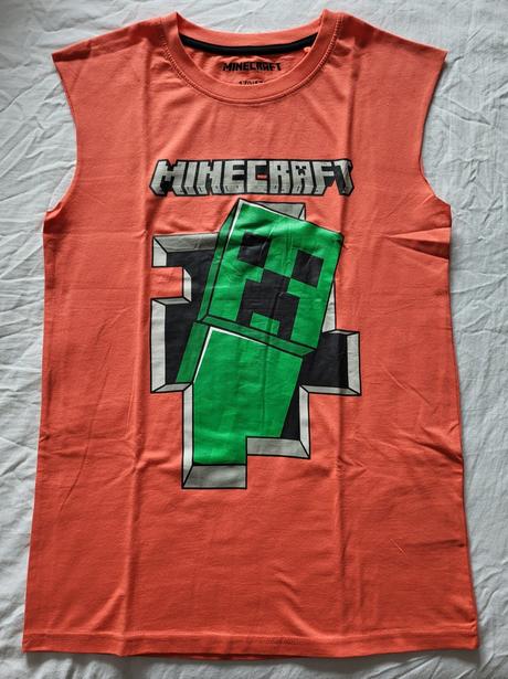 Tielko minecraft, 170