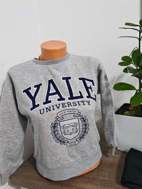 Krasna mikina yale 140/146 sadne, primark,140