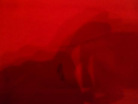 Cervene tricko s dlhym rukavom, 152