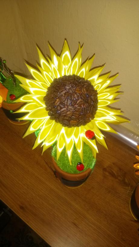 Slnečnicky v črepníčku, 