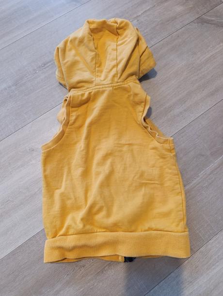 Vesta macko pu, disney,86