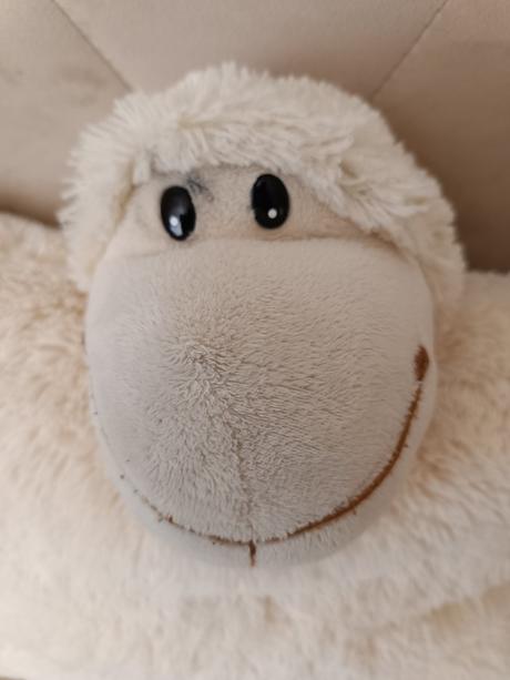 Vankúš - ovečka, 