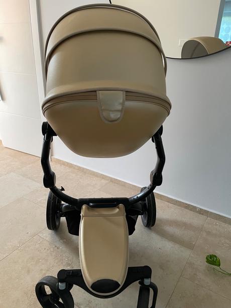 Mima xari champagne, mima,mima xari