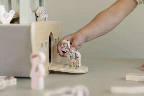 Little dutch noemova archa, 