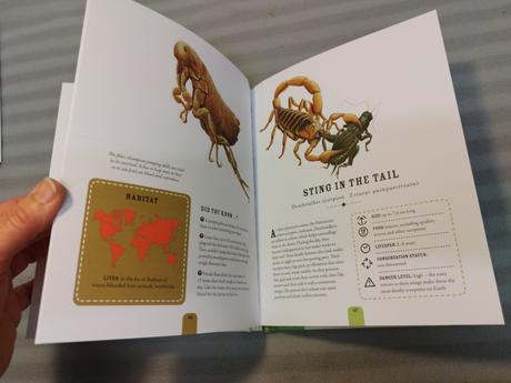 The incredible world of bugs hb nau23, 