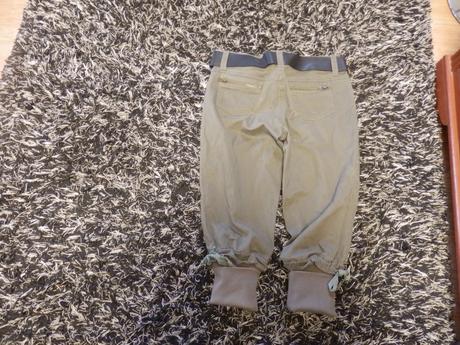 Tristvrtaky-dromedar, 38