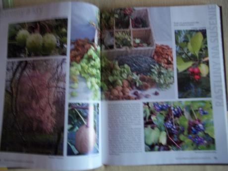 Veľká kniha sušených rastlín,