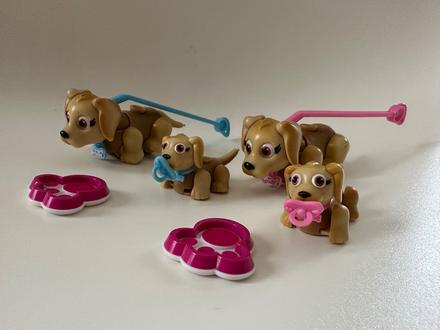 Pet parade family psickovia,