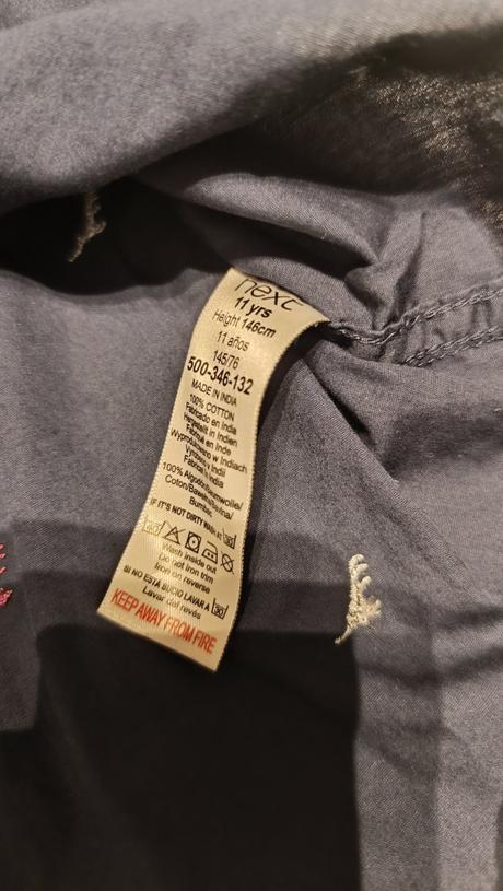 Kosela - dinosaur, next,146