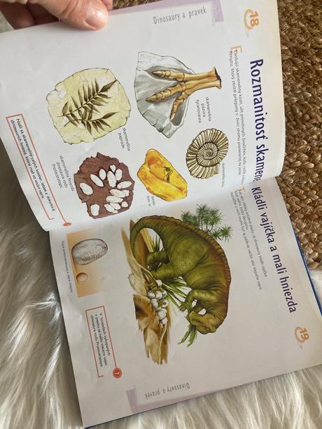 Ilustrovaná encyklopédia dinosaurov a praveku,