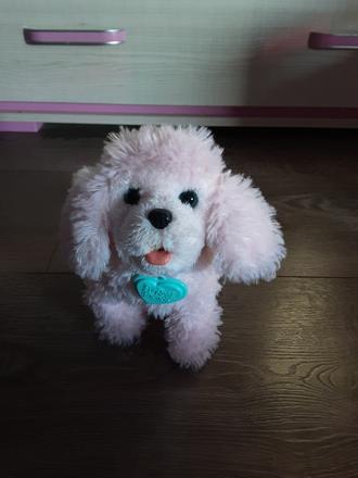 Plyšový psík, 
