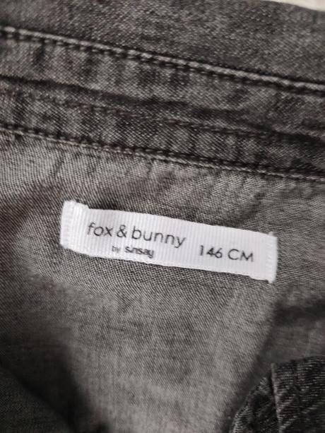 Kosela, fox & bunny,146