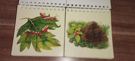 Nájdi môj domček, 