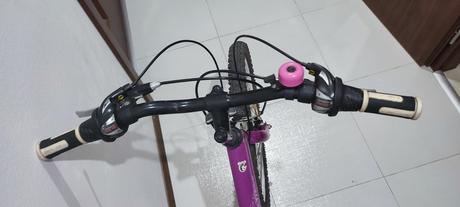 Bicykel "24", kenzel,24