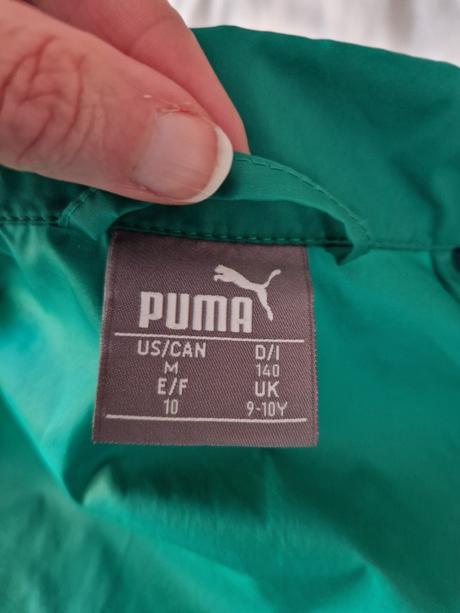 26sa_puma, puma,140