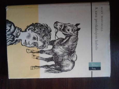 A zasa preskakujem kaluže ô,