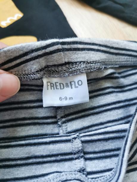 Súprava s dinosaurom 6-9m, f&f,74