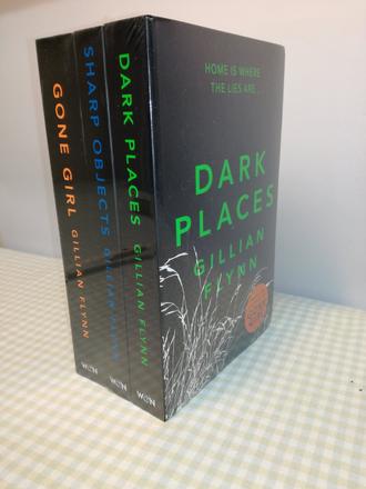 Gillian flynn in english nau21, 