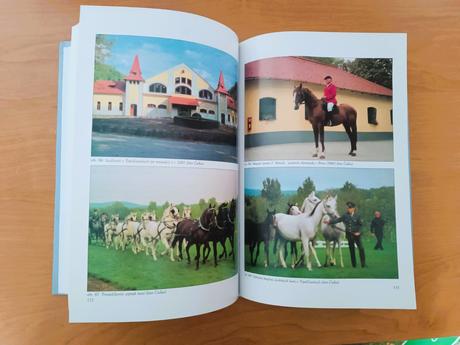 Ladislav popluhár - jazda na koni, 