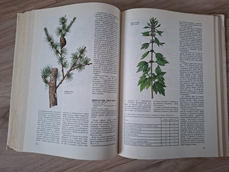 Atlas liečivých rastlín a lesných plodov, 