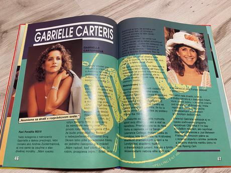 Beverly hills 90210 retro stará kniha ročenka 1994,