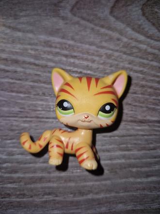 Lps shc macka tiger, 