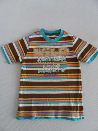 Pestré tričko, 104