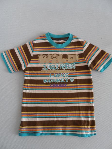 Pestré tričko, 104