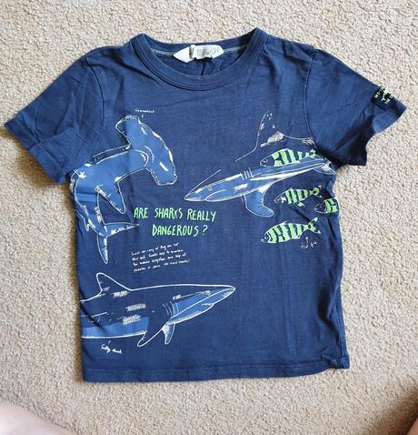 Tricko ocean, h&m,110