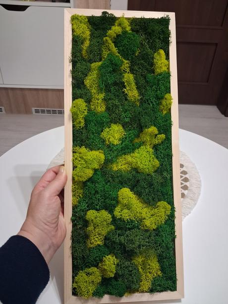 Obraz zo stabilizovaneho machu, 