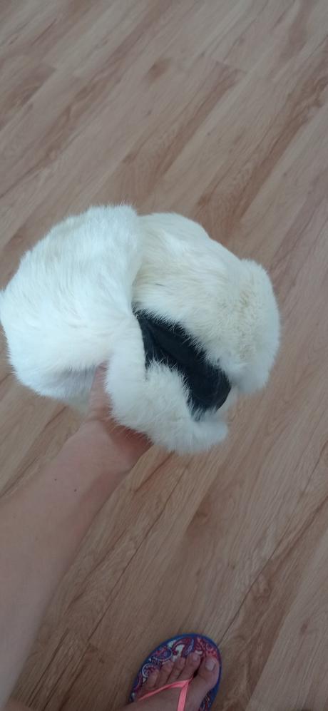 Pravá kožušinova baranica, 62